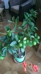 WP_20171021_003.jpg