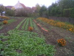 direction silo pour les carottes