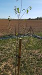 20171026_135550.jpg