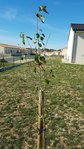 20171026_135557.jpg