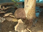 IMG_20171101_074658.jpg