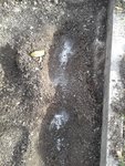 20171102_133725.jpg