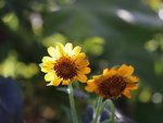 IMG_2440.JPG