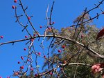IMG_2468.JPG