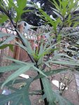 20171110_170758.jpg