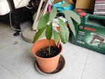 DSCN0707_small.JPG