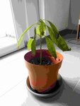 DSCN0710_small.jpg