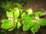 IMG_2717.JPG