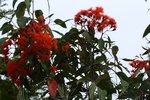 SFBG-9110643.JPG