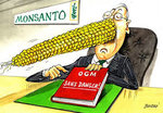 MONSANTO.jpeg