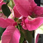 IMG_0955.jpg