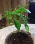 20171201_112002.jpg