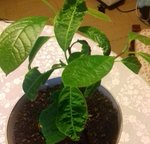 20171201_112245.jpg