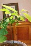 20171201_112207.jpg