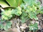 19.04.2008 051.jpg