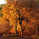 Couleurs 2.jpg
