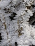 Givre L.jpg
