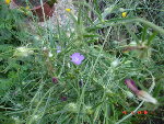 20.06.08 091.jpg