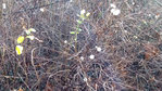 20171216_153503.jpg
