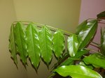 IMG_20171230_195931.jpg