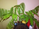IMG_20171230_195940.jpg