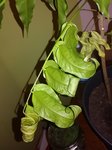 IMG_20180101_182215.jpg