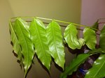 IMG_20180101_182223.jpg