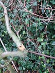 20180105_163557.jpg