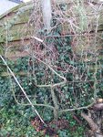 20180105_163604.jpg