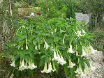 DSCN3103.JPG