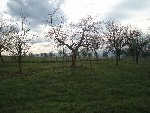 PA260254.jpg