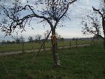 PA260255.jpg