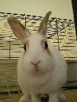 DSCN6038.JPG