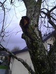 IMG_20180115_173618.jpg