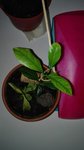 IMG_20180115_204610-1752x3120.jpg
