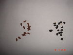 30.10.08 006.jpg