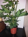 20180120_223615-min.jpg