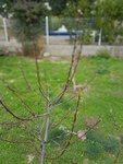 20180124_103823.jpg