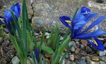 IMG_20180125_230228.JPG