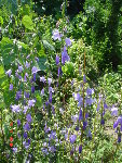 20.06.08 062.jpg