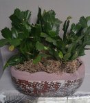2018-01-27 10.46.54.jpg