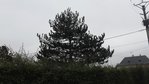 20180128_170547.jpg