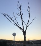 IMG_1155.JPG