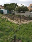 20180203_162521.jpg