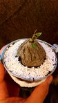 thumbnail_DSC_0007.jpg