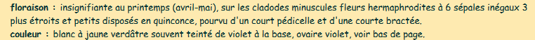 Capture texte ruscus.PNG