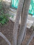 20180208-211906.jpg