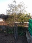 20180208-211841.jpg
