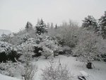 matin de neige fev 18.JPG
