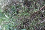 IMG_0884-min.JPG